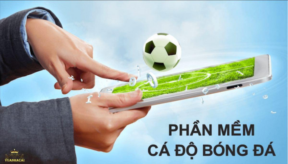 Những lưu ý khi sử dụng phần mềm soi kèo cá độ bóng đá Những lưu ý khi sử dụng phần mềm soi kèo cá độ bóng đá