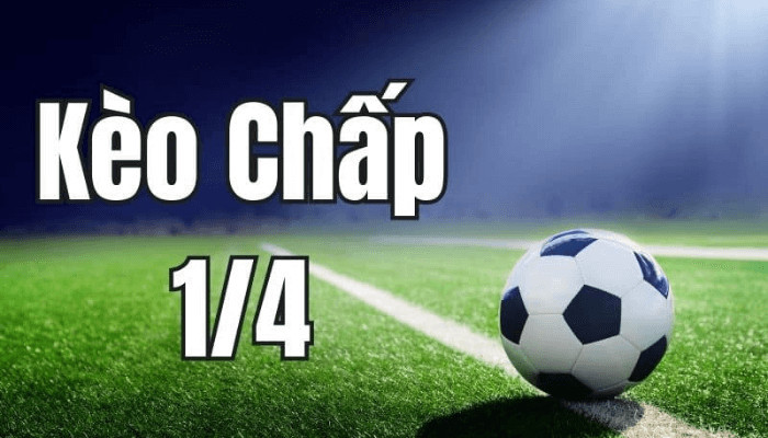 Hướng dẫn cách đọc kèo 1/4 trái chuẩn xác Hướng dẫn cách đọc kèo 1/4 trái chuẩn xác