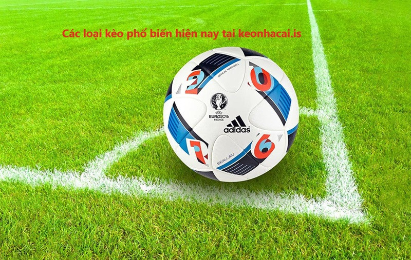 Các loại kèo nhà cái phổ biến hiện nay Các loại kèo nhà cái phổ biến hiện nay