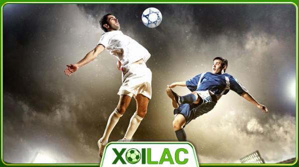 Hướng dẫn cách sử dụng Livescore trên Xoilac TV Hướng dẫn cách sử dụng Livescore trên Xoilac TV