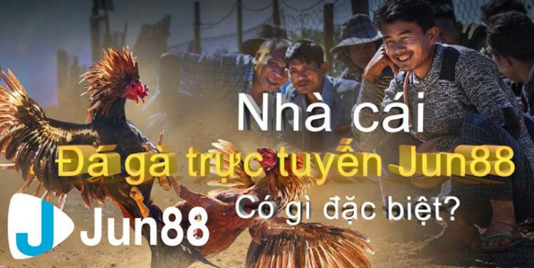 Cược đá gà online Cược đá gà online