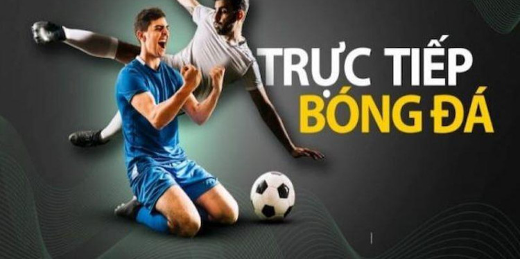 Khái quát về trang xem bóng đá socolive Khái quát về trang xem bóng đá socolive