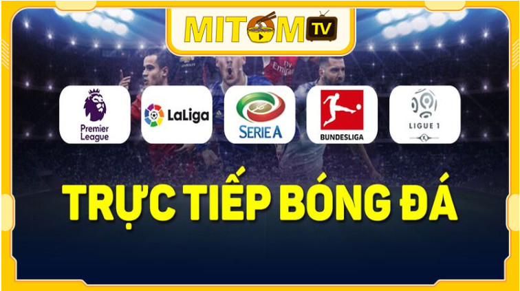 Cẩm nang truy cập xem bóng đá trên Mitom TV Cẩm nang truy cập xem bóng đá trên Mitom TV