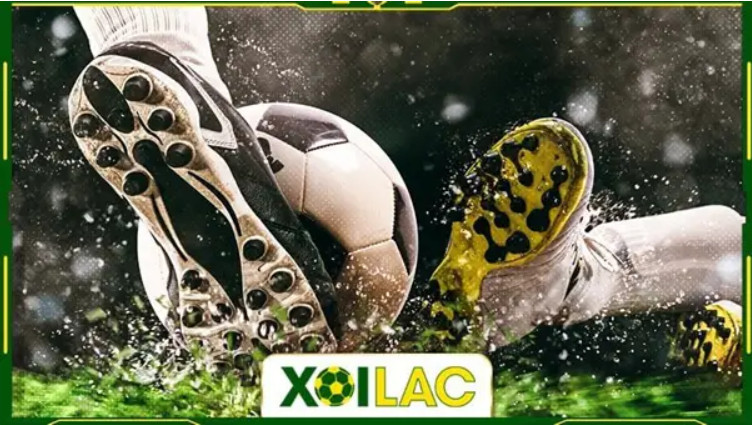 Xoilac TV - Phân tích chuyên môn về các trận đấu bóng đá Xoilac TV - Phân tích chuyên môn về các trận đấu bóng đá