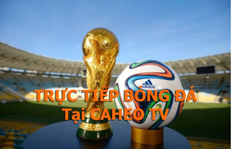 Kênh Caheo TV có nhiều ưu điểm khác trong chất lượng phát sóng bóng đá Kênh Caheo TV có nhiều ưu điểm khác trong chất lượng phát sóng bóng đá