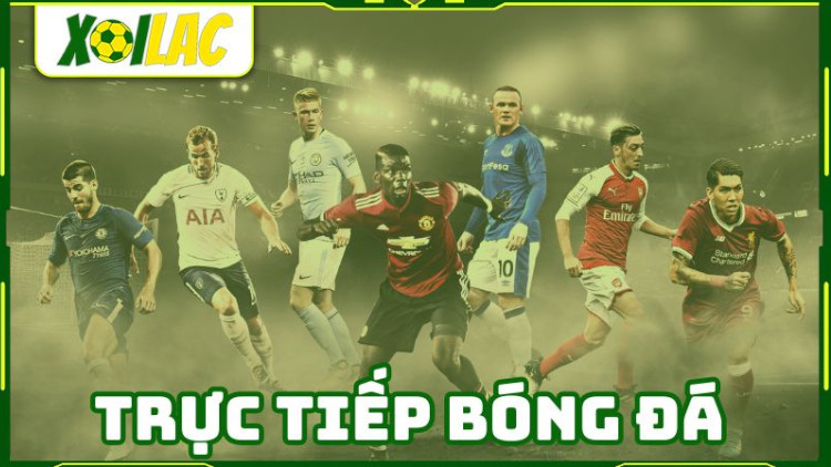 Các tính năng tiện ích trên Xoilac TV cho người hâm mộ bóng đá Các tính năng tiện ích trên Xoilac TV cho người hâm mộ bóng đá