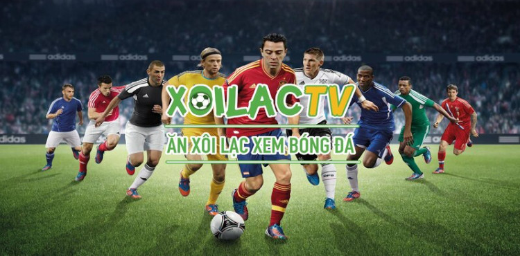 Những đối tượng phù hợp với nền tảng Xoilactv Những đối tượng phù hợp với nền tảng Xoilactv